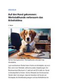 Auf Den Hund Gekommen  Werkstatthunde Verbessern Das Arbeitsklima   Optikernetz Maye57t3gjkctfc