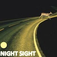 Night Sight Gl%C3%A4ser A9d35d71