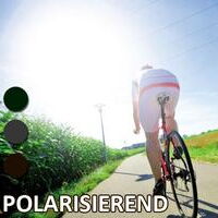 Polarisierende Gläser